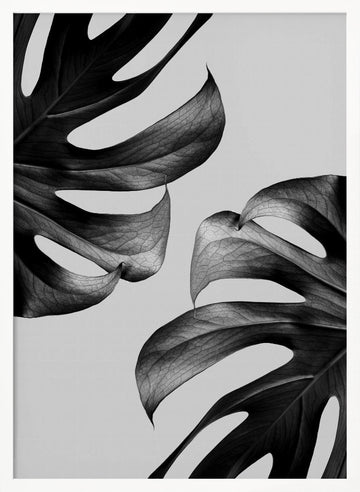 Elegant Monstera Duo | Poster - White Frame Interior