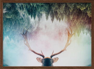Mystical Forest Stag | Poster - Walnut Frame Interior