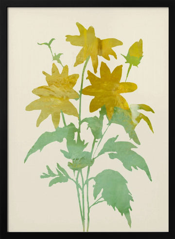 Gentle Yellow Blossoms | Poster - Black Metal Frame Interior
