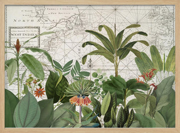 Tropical Map Explorations | Poster - Wood Frame Interior