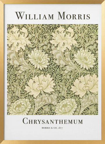 Chrysanthemum | Poster - Gold Frame Interior