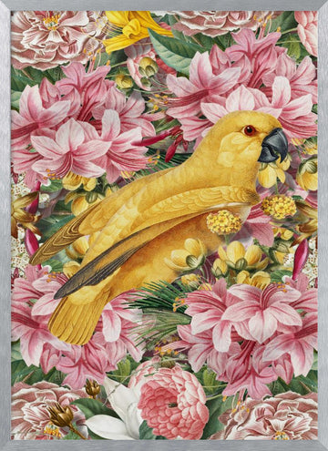 Yellow Parrot Tropical Flowers | Poster - Silver Frame Interior