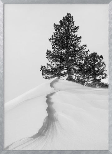 Winter Ridge Pines | Poster - Silver Frame Interior