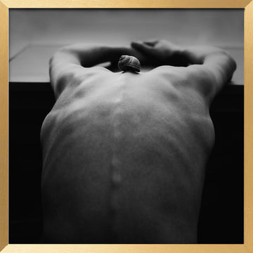 Snail on Human Back | Poster - Gold Frame Interior