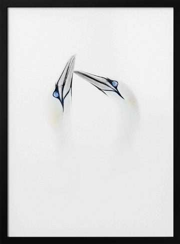 Serene Bird Connection | Poster - Black Metal Frame Interior