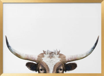 Peeking Longhorn Cow | Poster - Gold Frame Interior