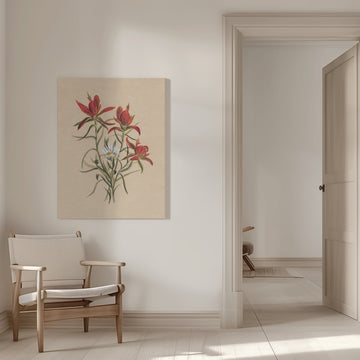 Indian Paintbrush (1883) | Canvas - Room Interior 1