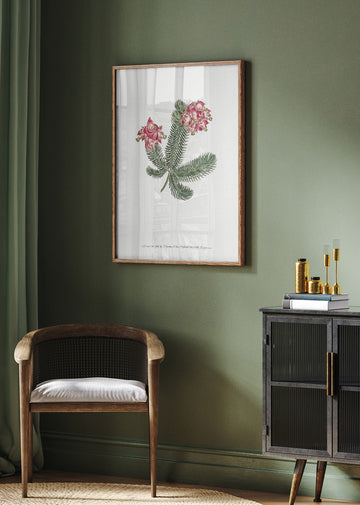 Erica Glauca   Flower Garden Displayed By Francis Sansom | Poster - Room Interior 2