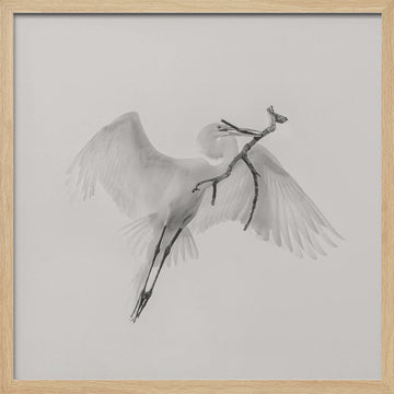 White Egret Carrying Branch | Poster - Wood Frame Interior