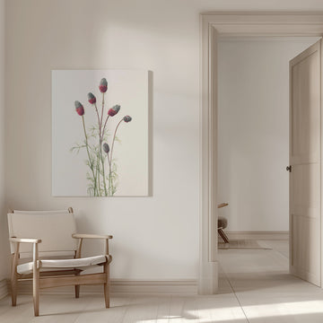 Purple Prairie Clover From North American Wildflowers (1925) By Mary Vaux Walcott | Canvas - Room Interior 1