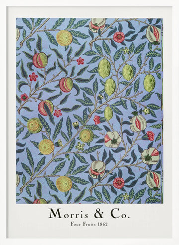 Four Fruits | Poster - White Frame Interior