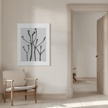 Cornus Florida | Canvas - Room Interior 1