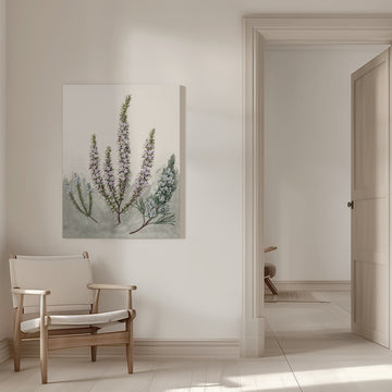 Epacris Drawn By Sarah Featon (1848–1927) | Canvas - Room Interior 1