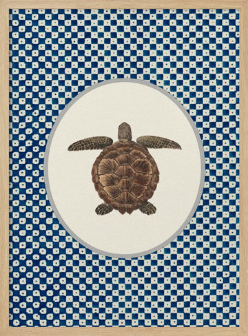 Shibori Sea Turtle | Poster - Wood Frame Interior