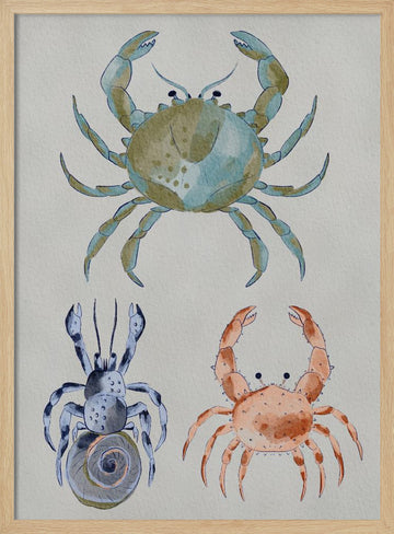 Ocean Crabs Watercolor | Poster - Wood Frame Interior