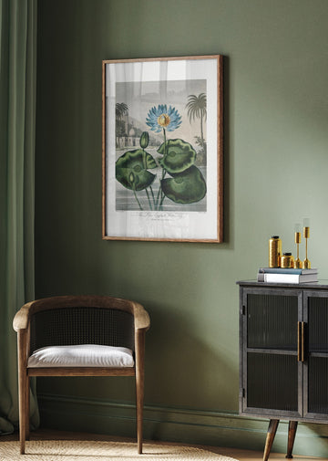 The Blue Egyptian Water-Lily from The Temple of Flora (1807) | Poster - Room Interior 2