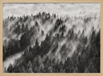 Misty Forest Light Rays | Poster - Wood Frame Interior