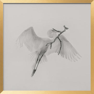 White Egret Carrying Branch | Poster - Gold Frame Interior