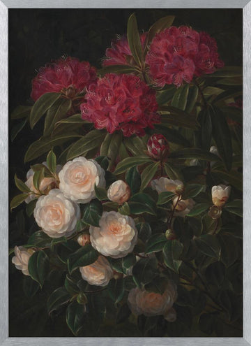 Camellias and Rhododendrons By Johan Laurentz Jensen | Poster - Silver Frame Interior