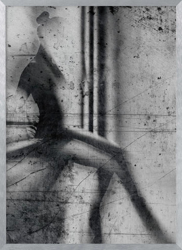 Shadow Dancer | Poster - Silver Frame Interior