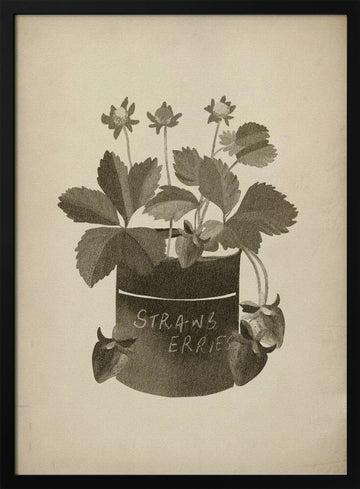 Vintage Strawberry Illustration | Poster - Black Metal Frame Interior