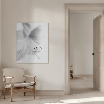 Elegant White Bloom | Canvas - Room Interior 1