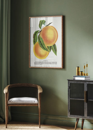 Champion Plum Lithograph | Poster - Room Interior 2