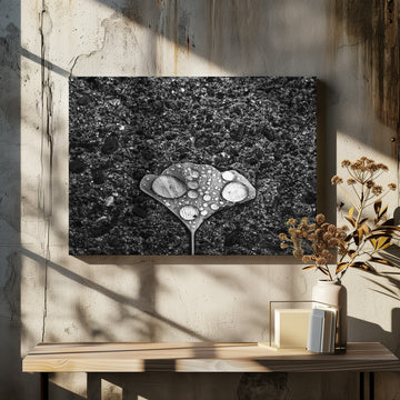 Ginkgo Leaf Water Drops | Canvas - Room Interior 2