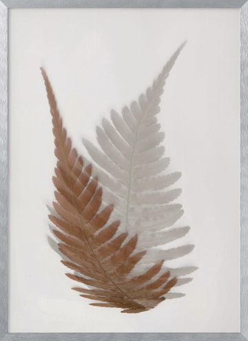 Ethereal Fern Fronds | Poster - Silver Frame Interior