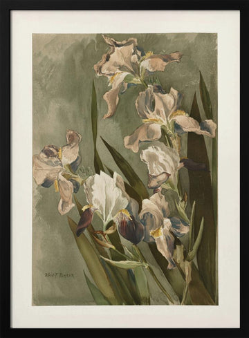 Study of Iris | Poster - Black Metal Frame Interior