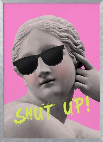 Sassy Statue Sunglasses | Poster - Silver Frame Interior