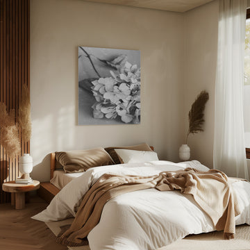 Monochrome Hydrangea Still Life | Canvas - Room Interior 2