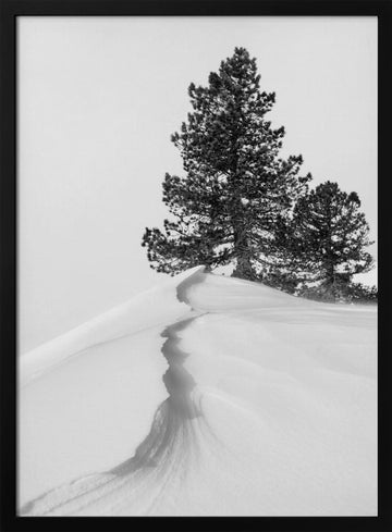 Winter Ridge Pines | Poster - Black Metal Frame Interior