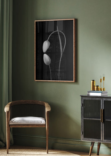 Monochrome Tulip Curves | Poster - Room Interior 2