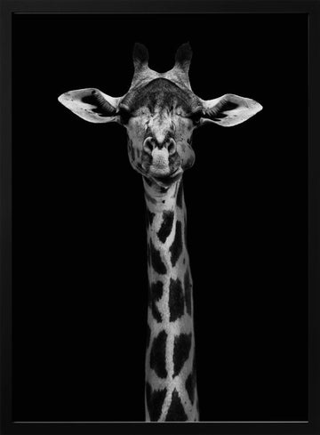 Elegant Giraffe Portrait | Poster - Black Metal Frame Interior