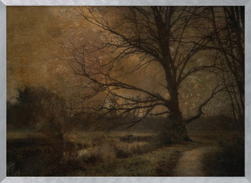 Old tree | Poster - Silver Frame Interior