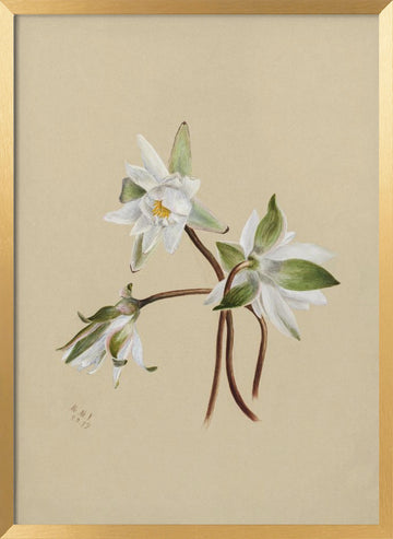 Water Lilies (1879) | Poster - Gold Frame Interior
