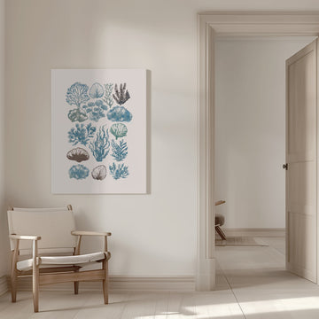 Vintage Marine Flora | Canvas - Room Interior 1