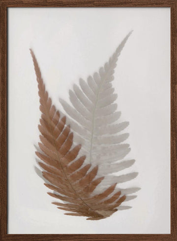Ethereal Fern Fronds | Poster - Walnut Frame Interior