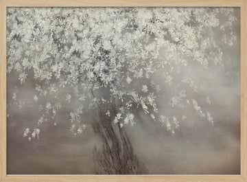 Stars of spring | Poster - Wood Frame Interior
