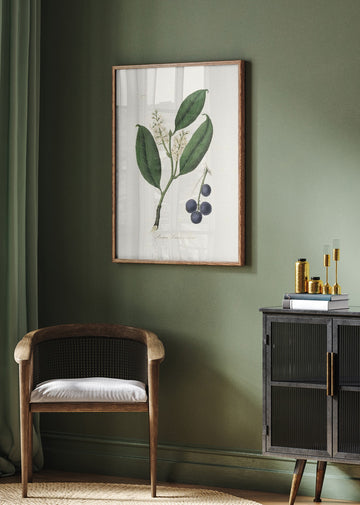 Cherry Laurel (prunus Laurocerasus) Medical Botany | Poster - Room Interior 2