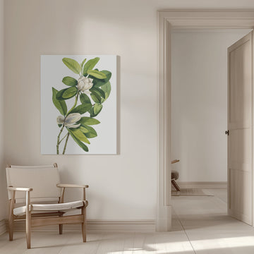 Swamp Magnolia (1918) | Canvas - Room Interior 1