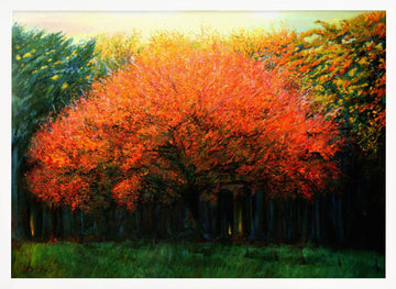 Vibrant Fall Tree | Poster - White Frame Interior
