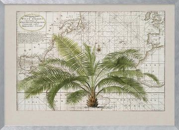 Vintage Caribbean Palm Map | Poster - Silver Frame Interior