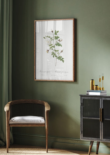 Silver Flowered Hispid Rose, Les Roses (1817–1824) | Poster - Room Interior 2