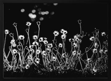 Night Flower Glow | Poster - Black Metal Frame Interior