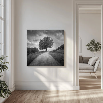 Winding Path Lone Tree | Canvas - Room Interior 1