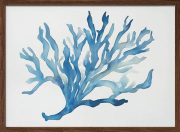 Blue Coral | Poster - Walnut Frame Interior