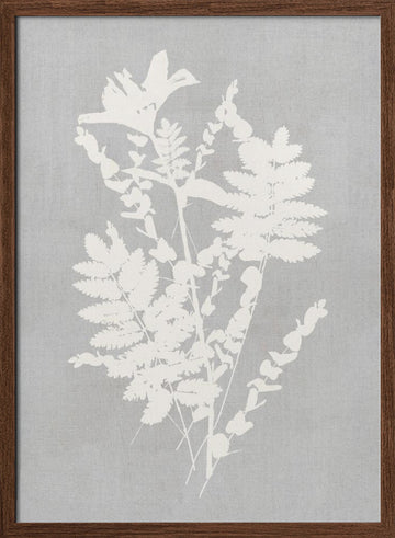 Botanical Silhouette Study | Poster - Walnut Frame Interior