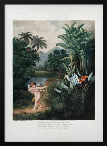 Cupid Inspiring Plants with Love from The Temple of Flora (1807) | Poster - Black Metal Frame Interior